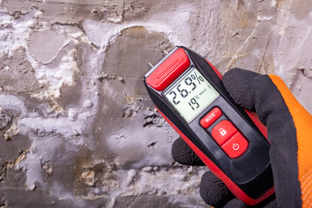 Best Local Mold Removal Service  in Grand Marais, MN